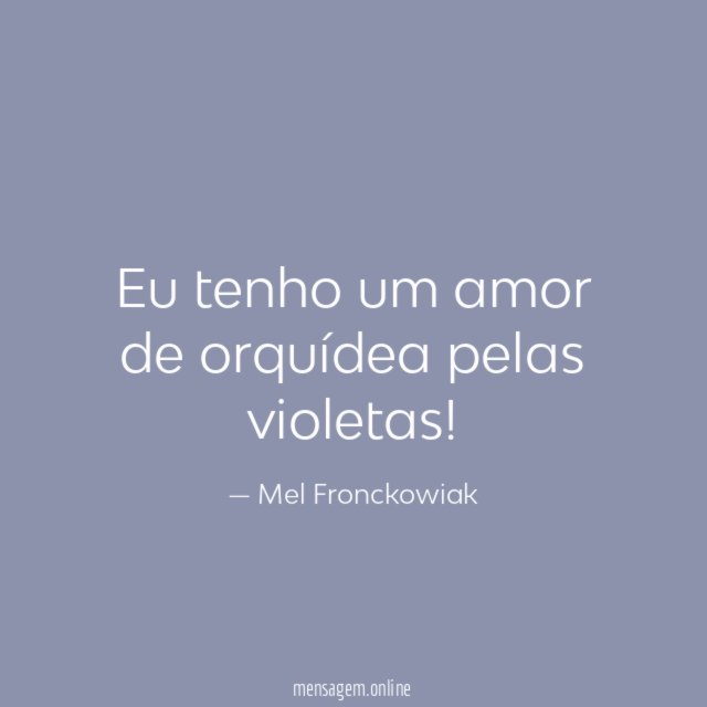 Eu tenho um amor de orquídea pelas violetas