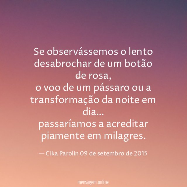 Se observássemos o lento desabrochar de um botão de rosa