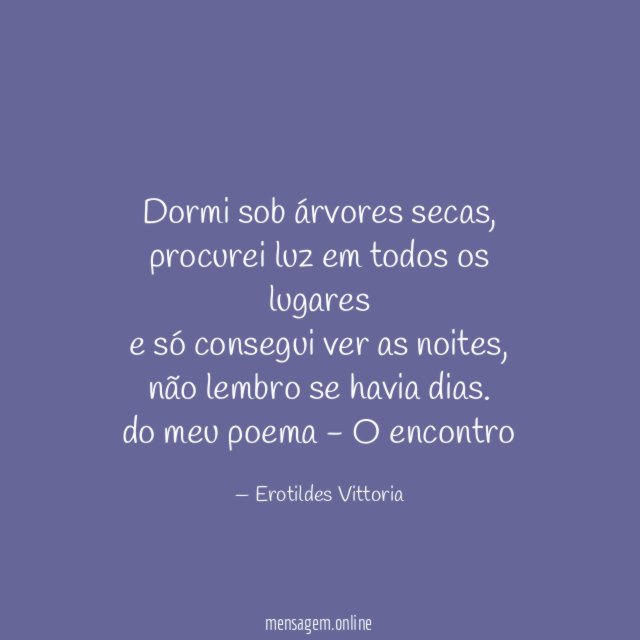Dormi sob árvores secas