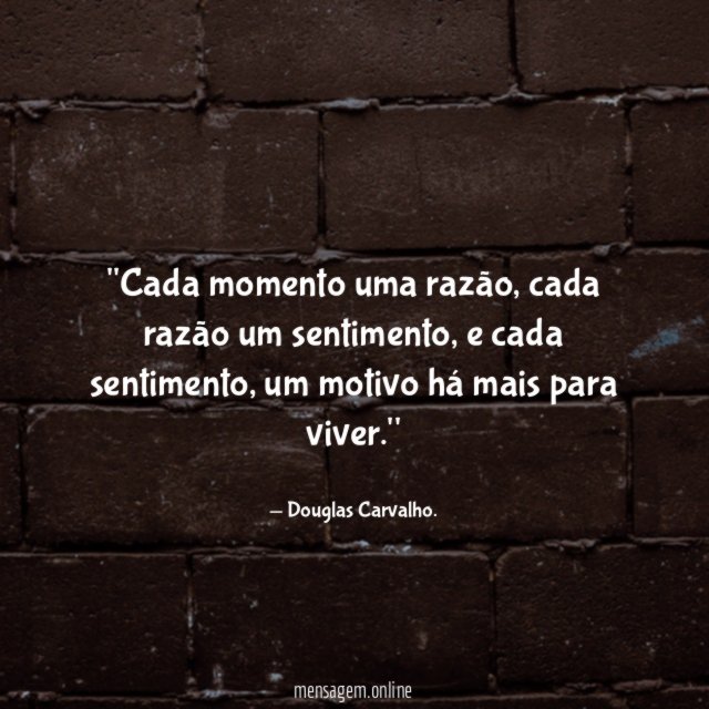 'Cada momento uma razão