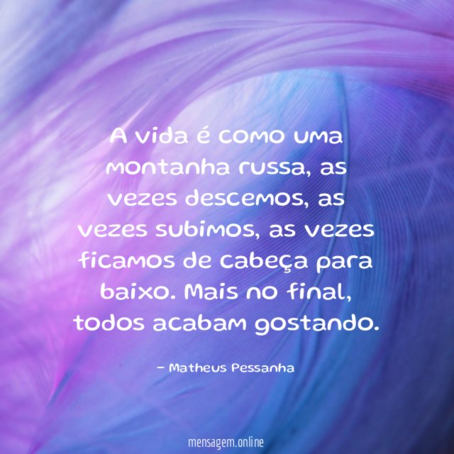 A vida é como uma montanha russa