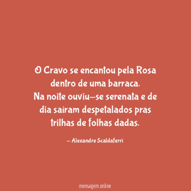 O Cravo se encantou pela Rosa dentro de uma barraca