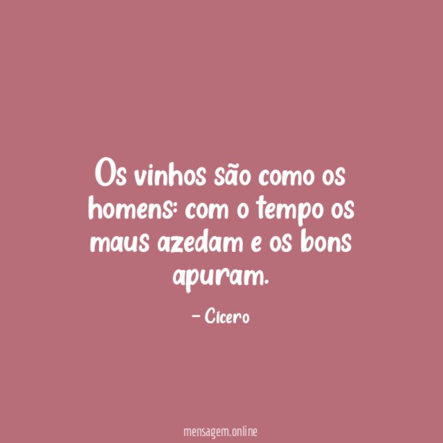 Os vinhos são como os homens