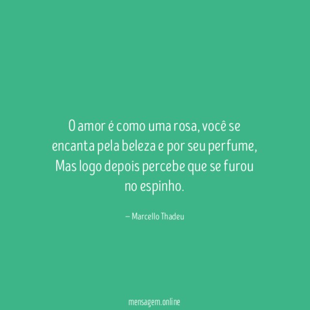 O amor é como uma rosa