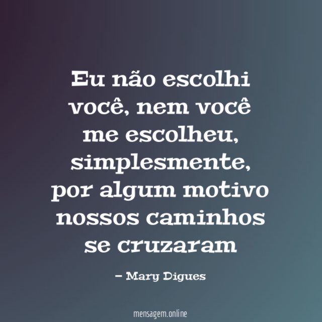 Eu não escolhi você