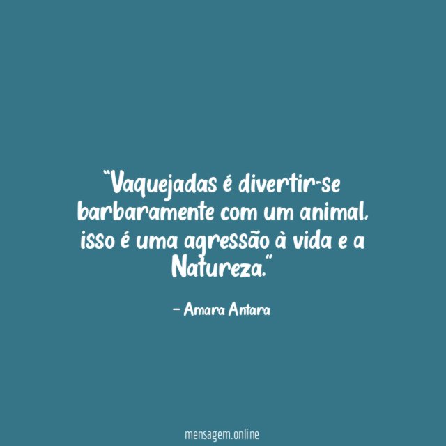 Vaquejadas é divertir-se barbaramente com um animal