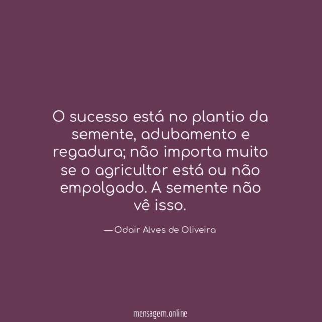 O sucesso está no plantio da semente
