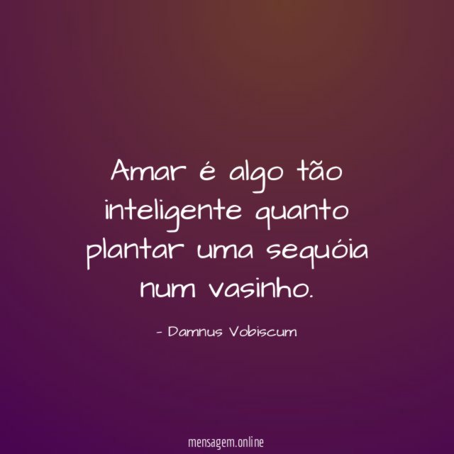 Amar é algo tão inteligente quanto plantar uma sequóia num vasinho