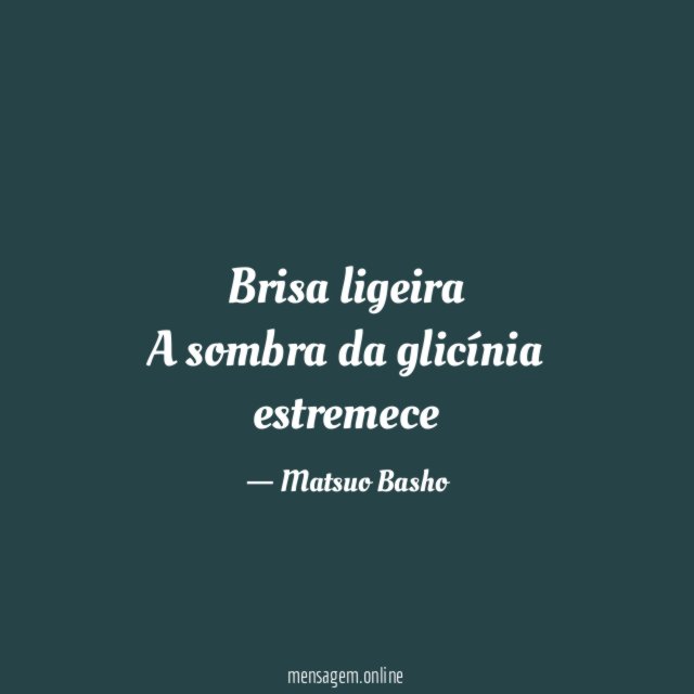 Brisa ligeira A sombra da glicínia estremece