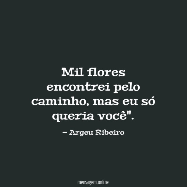 Mil flores encontrei pelo caminho
