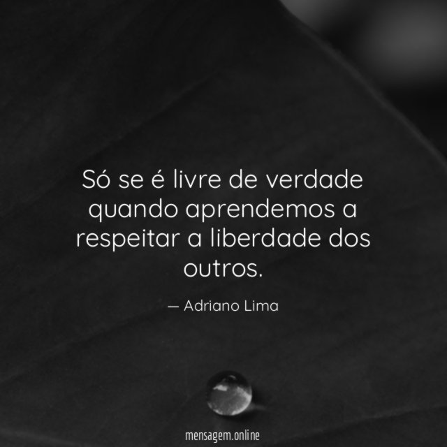 Só se é livre de verdade quando aprendemos
