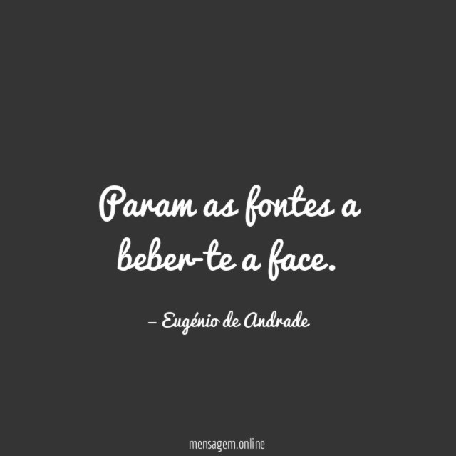 Param as fontes a beber-te a face