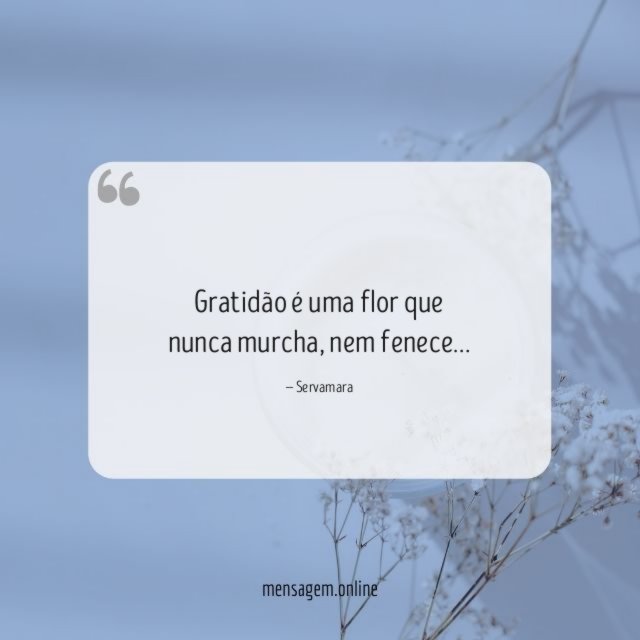 Gratidão é uma flor que nunca murcha