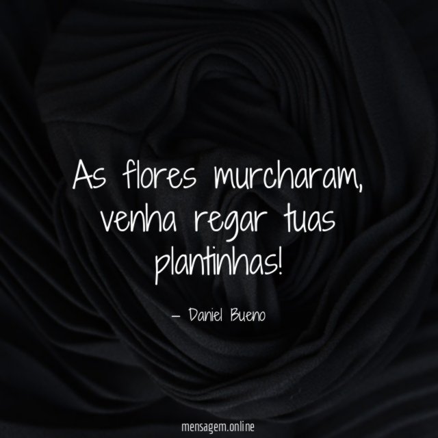 As flores murcharam