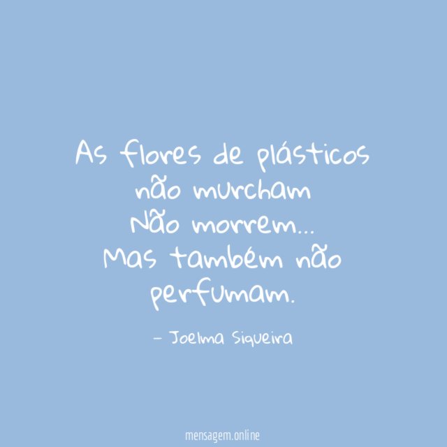 As flores de plásticos não murcham Não morrem