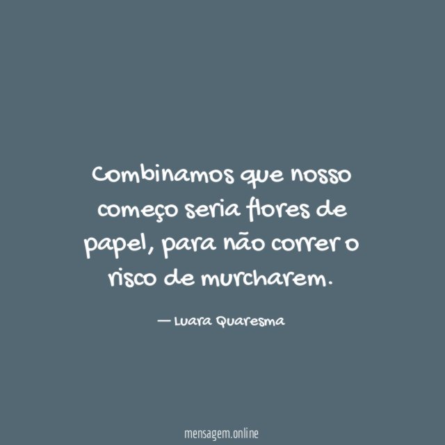 Combinamos que nosso começo seria flores de papel