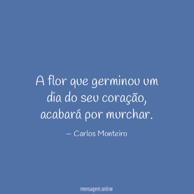A flor que germinou um dia do seu coração