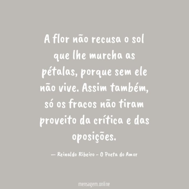 A flor não recusa o sol que lhe