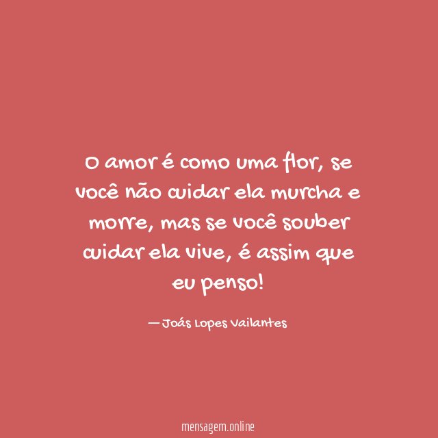 O amor é como uma flor