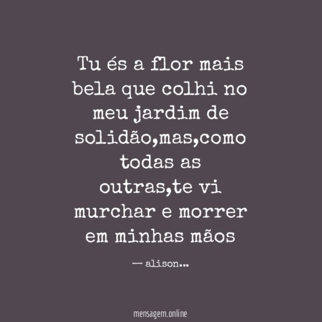 Tu és a flor mais bela que colhi