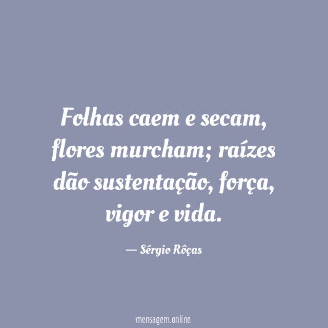 Folhas caem e secam