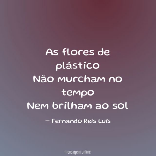 As flores de plástico Não murcham no tempo Nem brilham