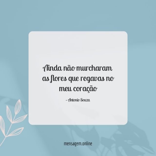 Ainda não murcharam as flores que regavas no meu coração