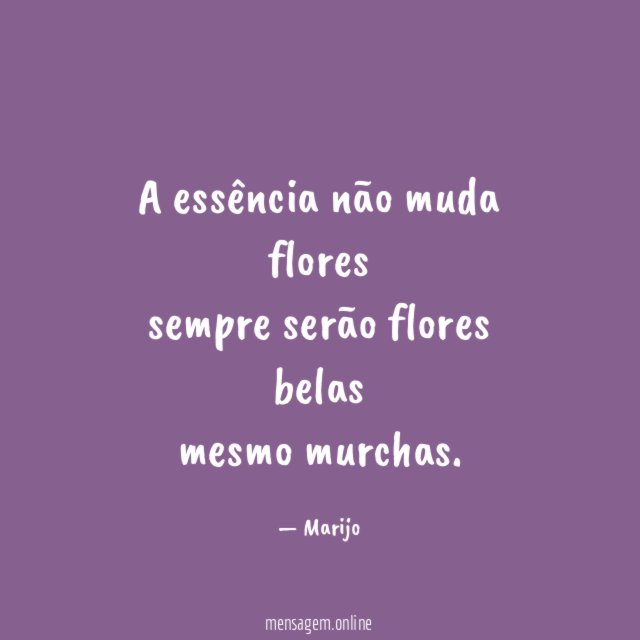 A essência não muda flores sempre serão flores belas mesmo murchas