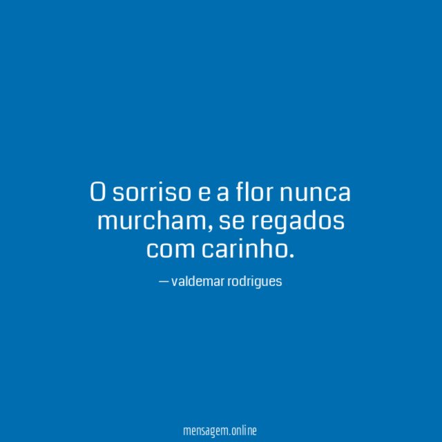 O sorriso e a flor nunca murcham