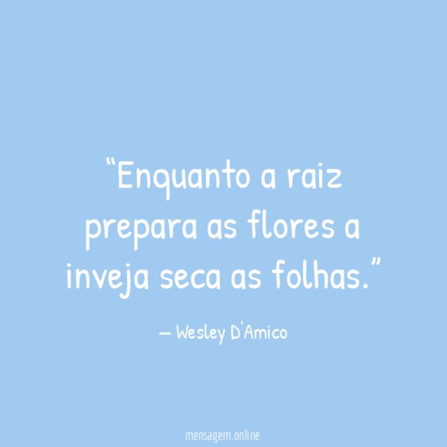 Enquanto a raiz prepara as flores a inveja seca as folhas