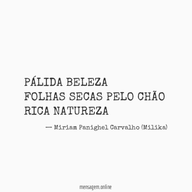 PÁLIDA BELEZA FOLHAS SECAS PELO CHÃO RICA NATUREZA