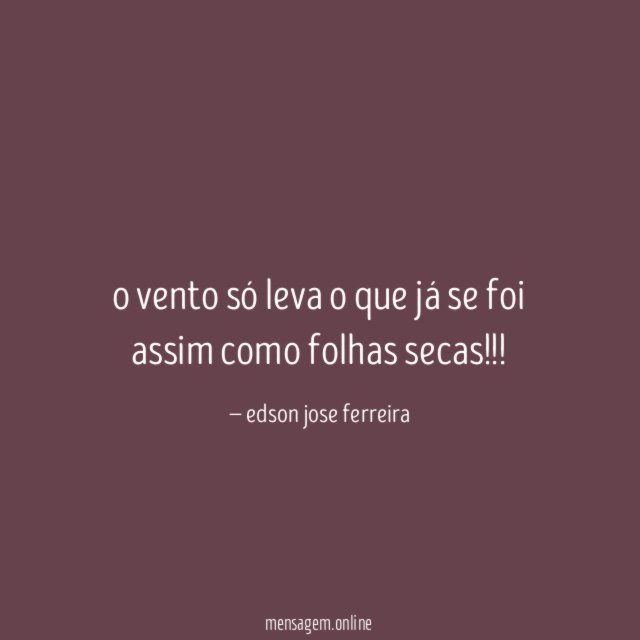 o vento só leva o que já se