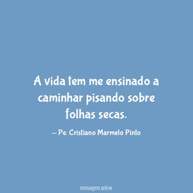 A vida tem me ensinado a caminhar pisando sobre folhas secas