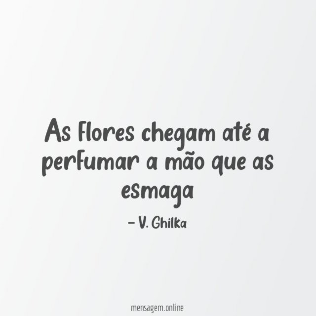 As flores chegam até a perfumar a mão que as esmaga