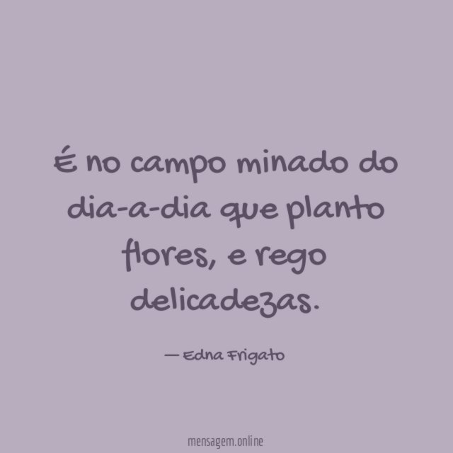 É no campo minado do dia-a-dia que planto flores