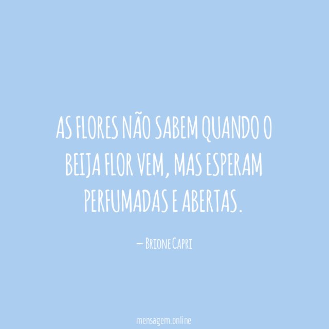 As flores não sabem quando o beija flor vem