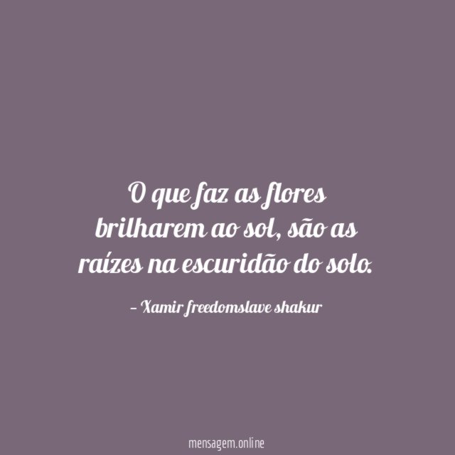 O que faz as flores brilharem ao sol