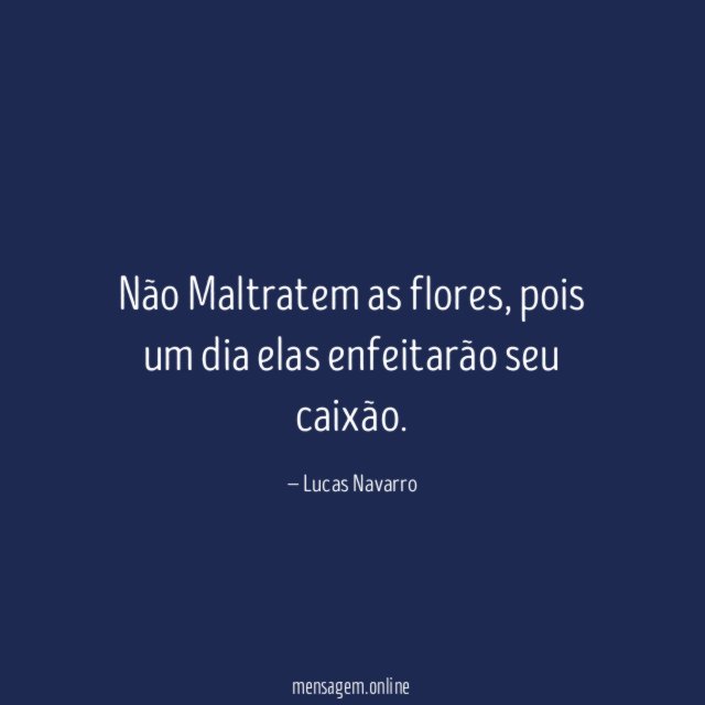 Não Maltratem as flores