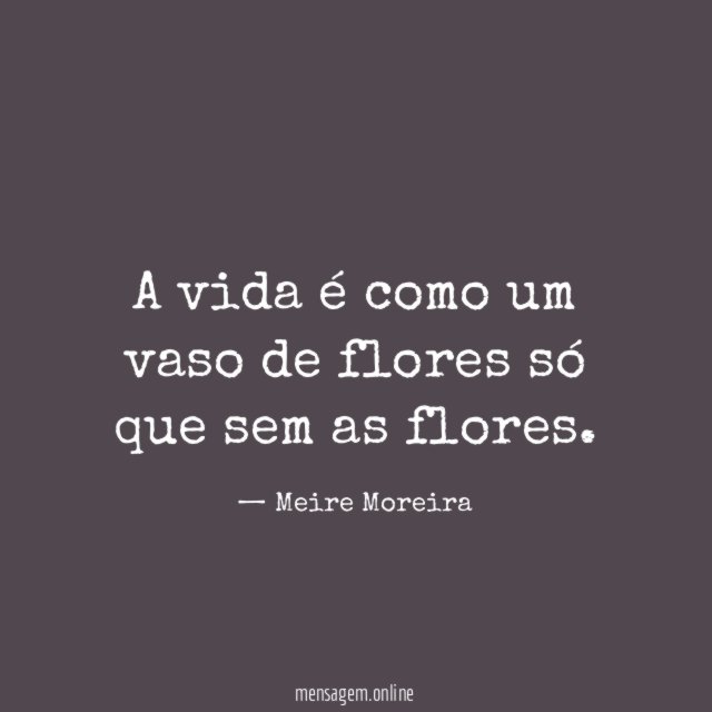 A vida é como um vaso de flores só que sem as flores