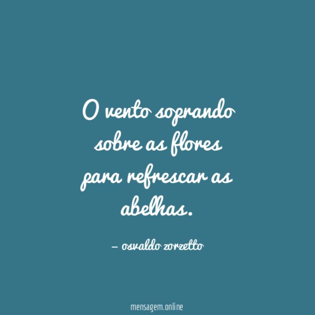O vento soprando sobre as flores para refrescar as abelhas