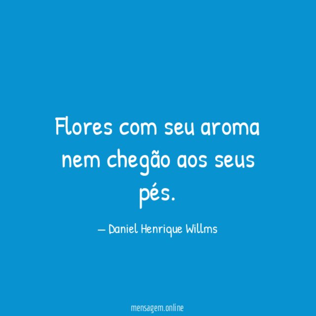Flores com seu aroma nem chegão aos seus pés