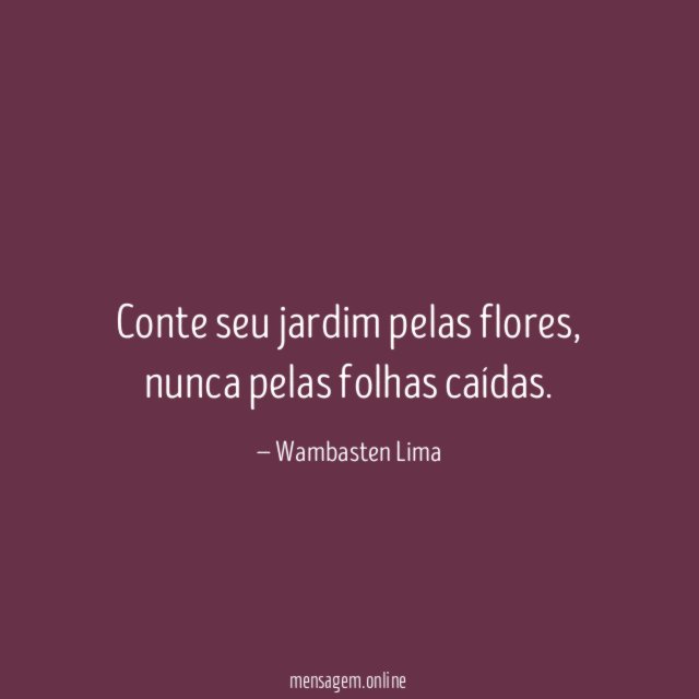 Conte seu jardim pelas flores