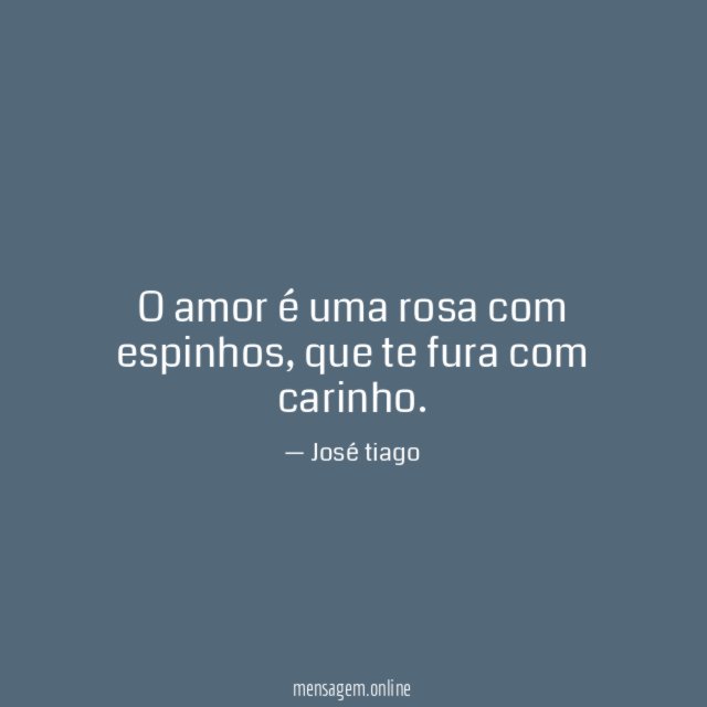 O amor é uma rosa com espinhos