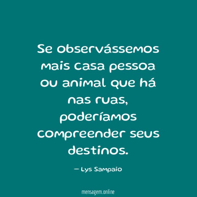 Se observássemos mais casa pessoa ou animal que há nas ruas