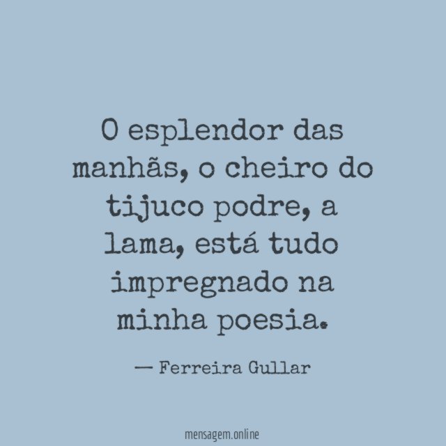 O esplendor das manhãs