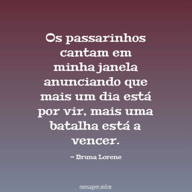 Os passarinhos cantam em minha janela anunciando que