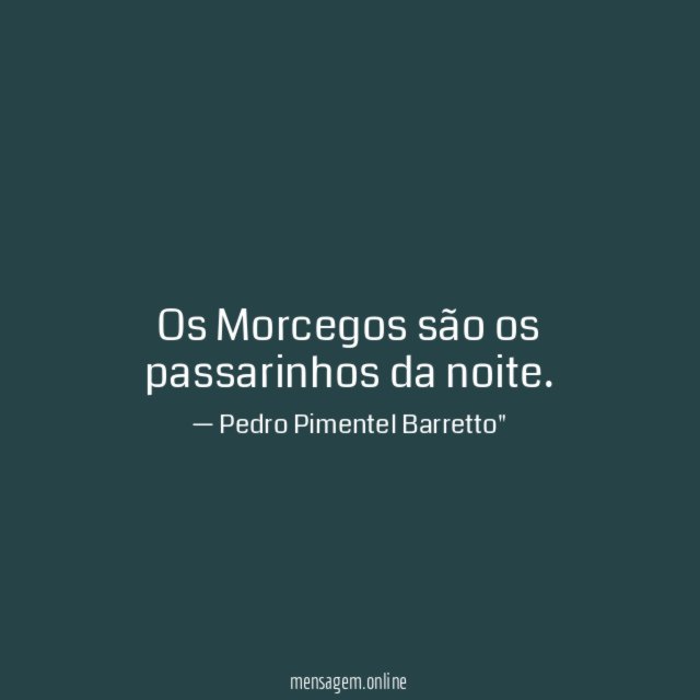 Os Morcegos são os passarinhos da noite