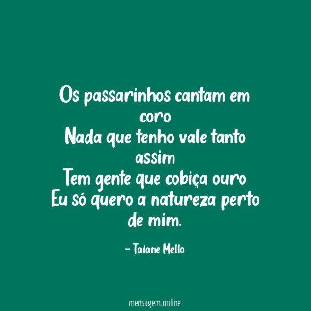 Os passarinhos cantam em coro Nada que tenho vale