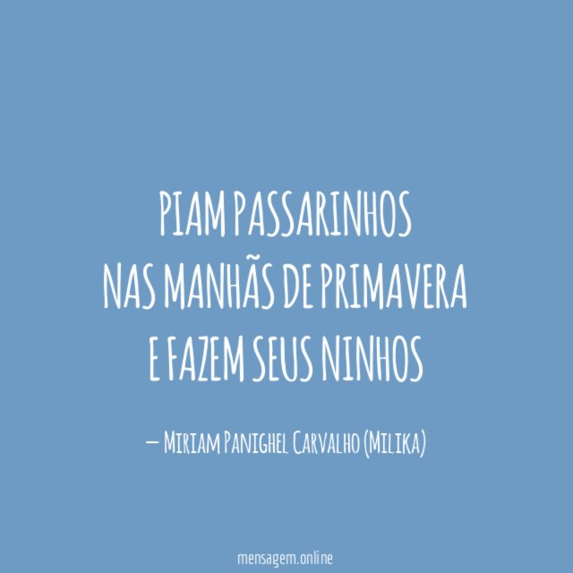 PIAM PASSARINHOS NAS MANHÃS DE PRIMAVERA E FAZEM SEUS NINHOS