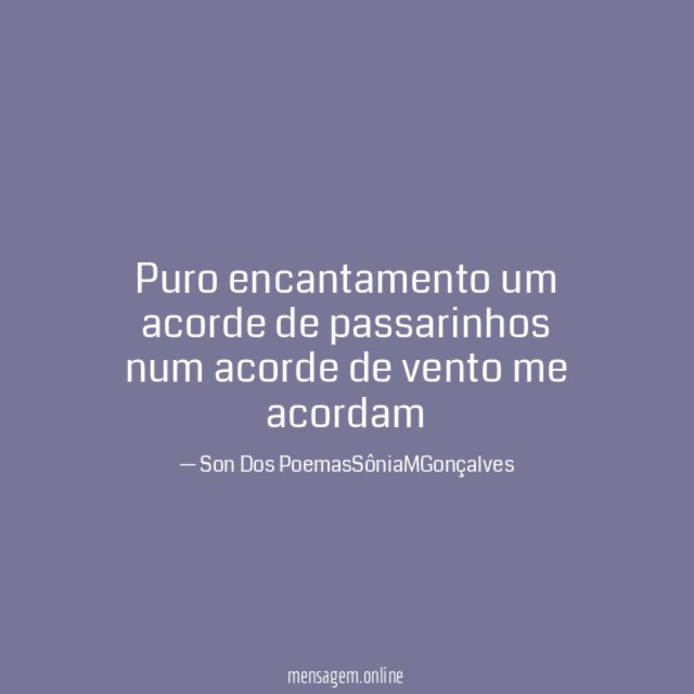 Puro encantamento um acorde de passarinhos num acorde de vento me acordam